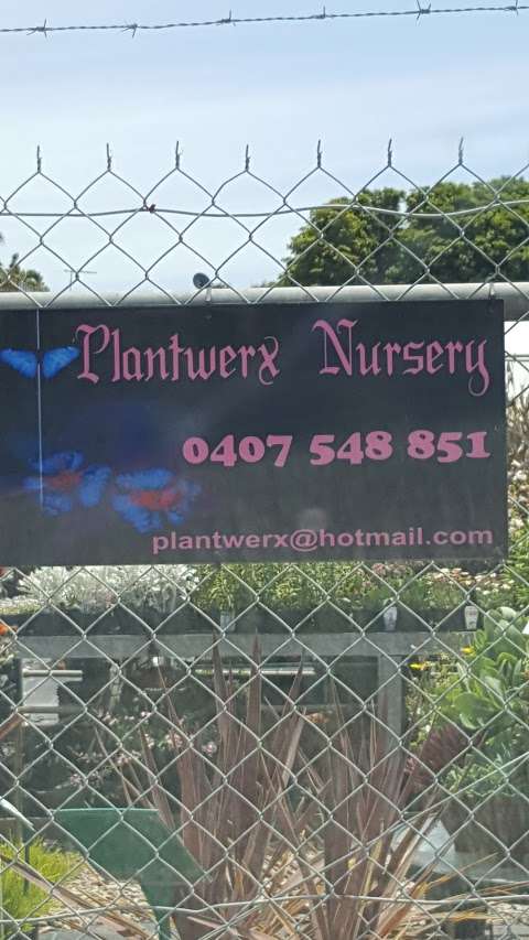 Photo: Plantwerx Nursery,